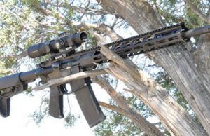 Review: Ruger AR 556 MPR