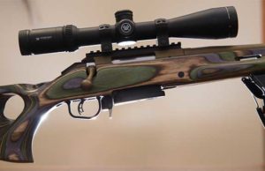 Boyds Stocks for Ruger American Rifles with AI Magazines
