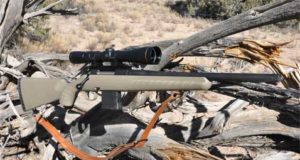 .223 Ruger Ranch RIfle