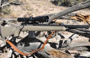 .223 Ruger Ranch RIfle