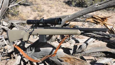 .223 Ruger Ranch RIfle